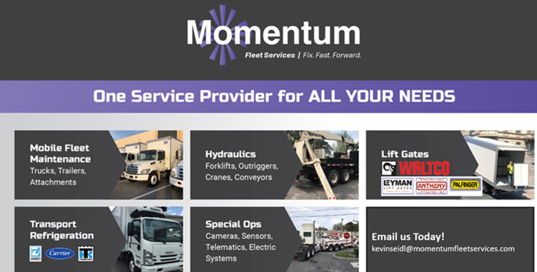 Services » Momentum Co