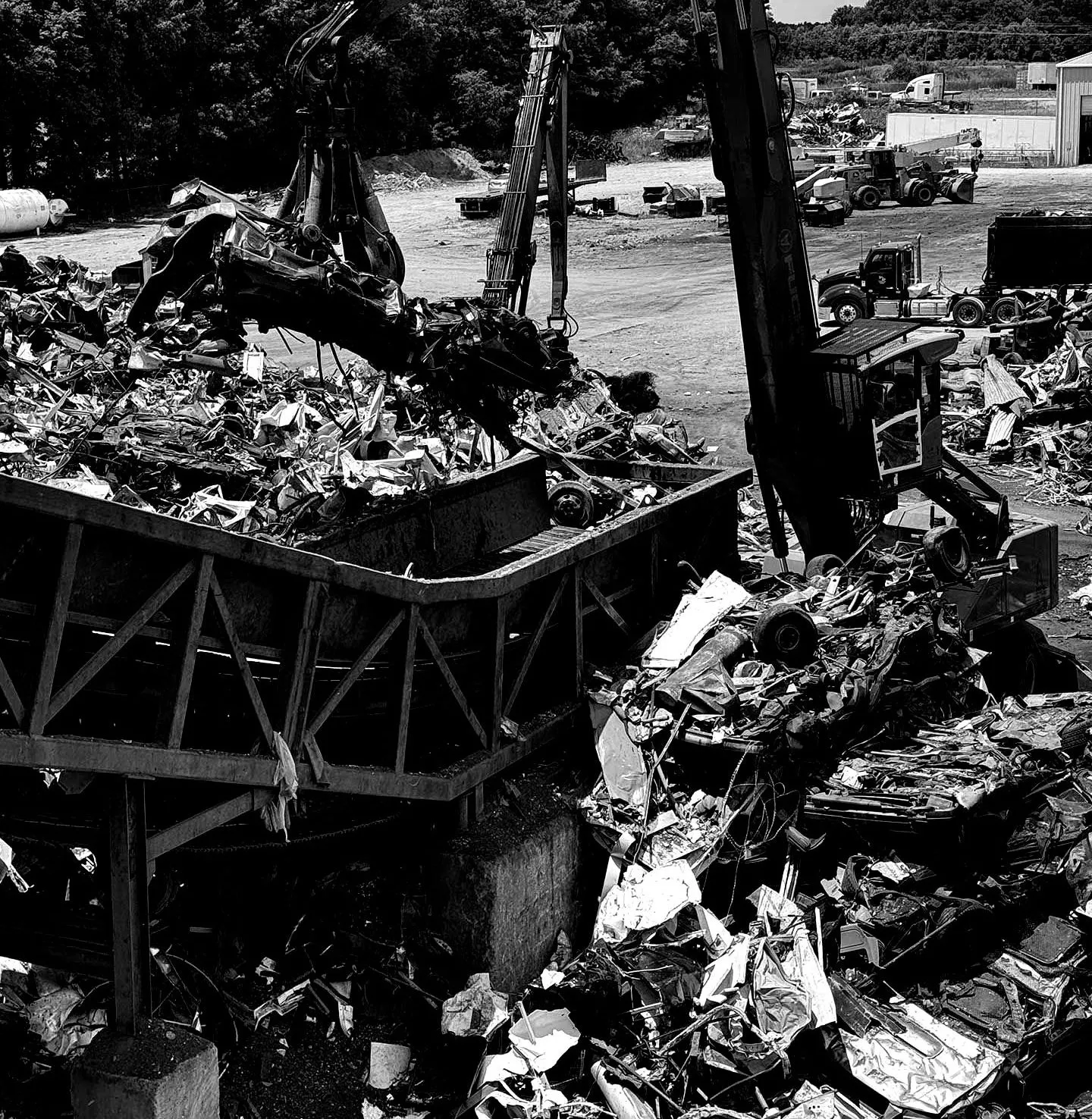 IMG_3004-5db5489e-f08e6174-1920w